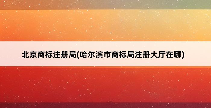 北京商标注册局(哈尔滨市商标局注册大厅在哪) 