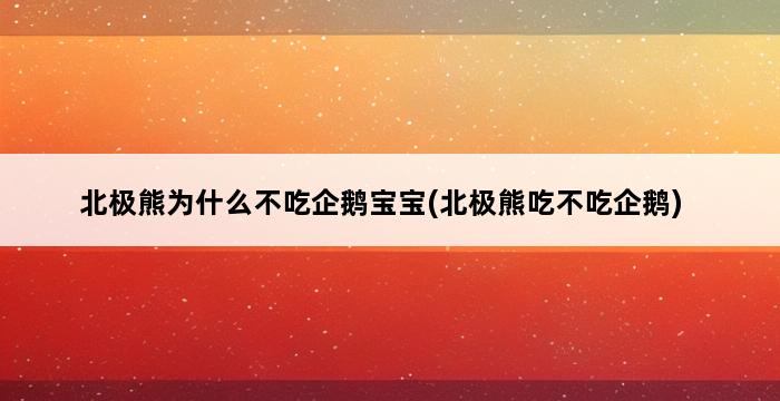 北极熊为什么不吃企鹅宝宝(北极熊吃不吃企鹅) 