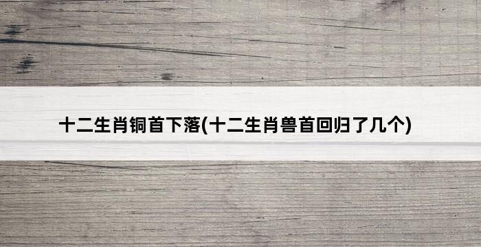 十二生肖铜首下落(十二生肖兽首回归了几个) 