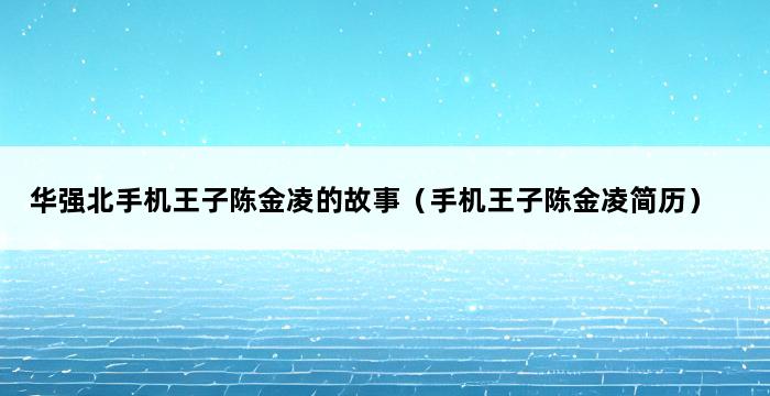 华强北手机王子陈金凌的故事（手机王子陈金凌简历） 