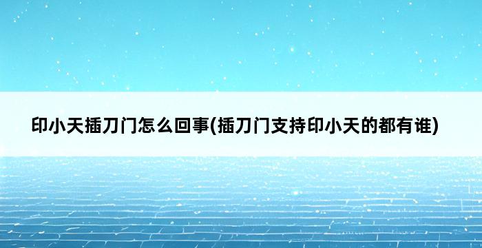 印小天插刀门怎么回事(插刀门支持印小天的都有谁) 