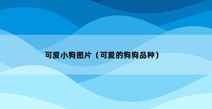 可爱小狗图片（可爱的狗狗品种） 