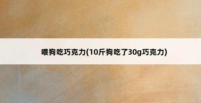 喂狗吃巧克力(10斤狗吃了30g巧克力) 