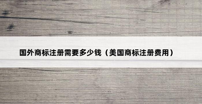 国外商标注册需要多少钱（美国商标注册费用） 