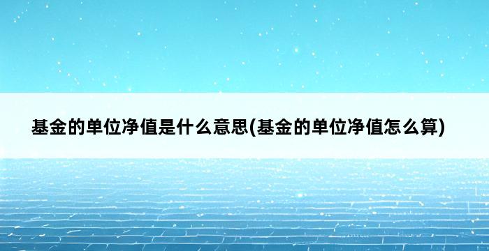 基金的单位净值是什么意思(基金的单位净值怎么算) 