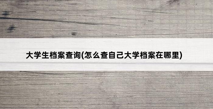 大学生档案查询(怎么查自己大学档案在哪里) 