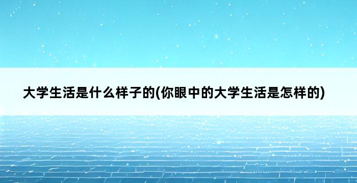 大学生活是什么样子的(你眼中的大学生活是怎样的) 