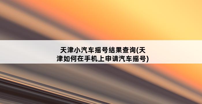 天津小汽车摇号结果查询(天津如何在手机上申请汽车摇号) 