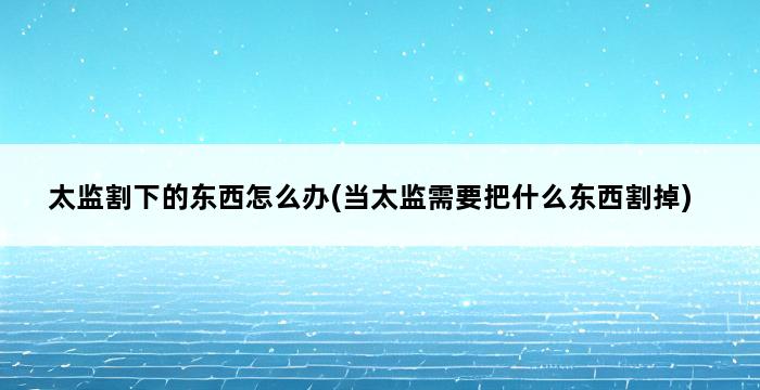 太监割下的东西怎么办(当太监需要把什么东西割掉) 