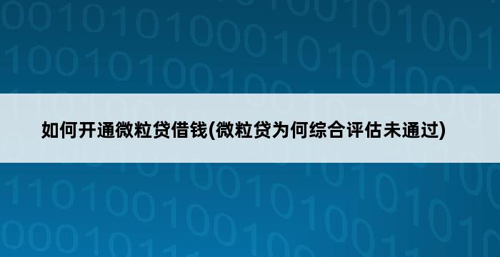 如何开通微粒贷借钱(微粒贷为何综合评估未通过) 