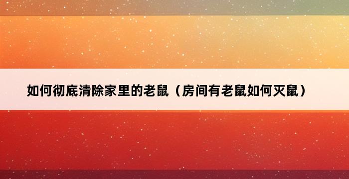 如何彻底清除家里的老鼠（房间有老鼠如何灭鼠） 