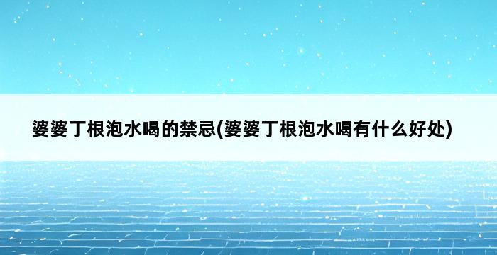 婆婆丁根泡水喝的禁忌(婆婆丁根泡水喝有什么好处) 