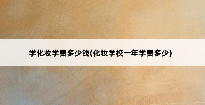 学化妆学费多少钱(化妆学校一年学费多少) 