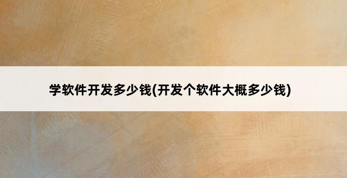 学软件开发多少钱(开发个软件大概多少钱) 