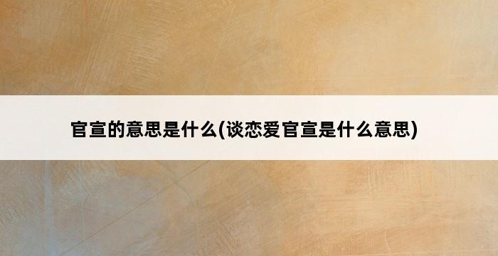 官宣的意思是什么(谈恋爱官宣是什么意思) 