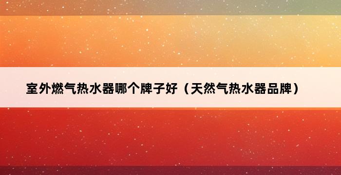 室外燃气热水器哪个牌子好（天然气热水器品牌） 