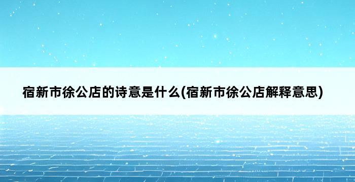 宿新市徐公店的诗意是什么(宿新市徐公店解释意思) 