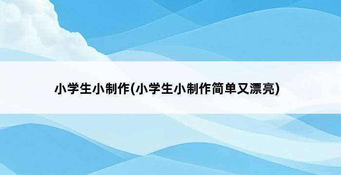 小学生小制作(小学生小制作简单又漂亮) 