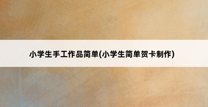 小学生手工作品简单(小学生简单贺卡制作) 