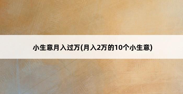 小生意月入过万(月入2万的10个小生意) 