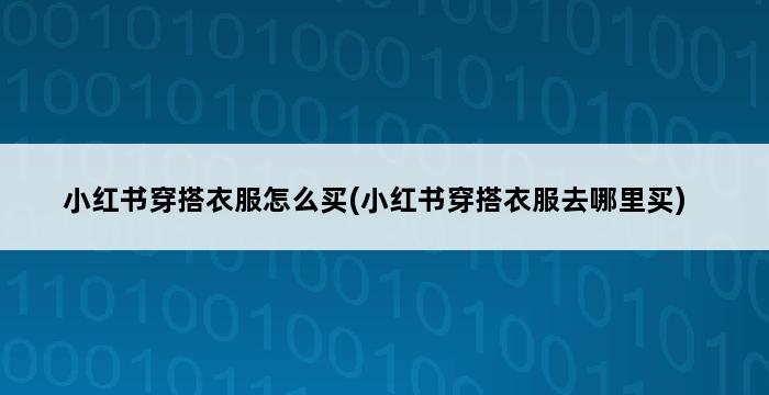 小红书穿搭衣服怎么买(小红书穿搭衣服去哪里买) 