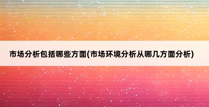 市场分析包括哪些方面(市场环境分析从哪几方面分析) 