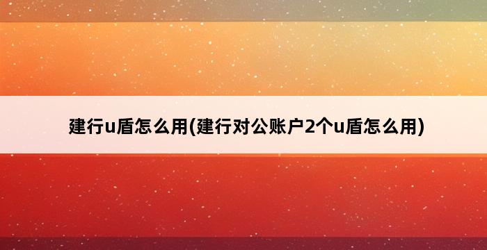 建行u盾怎么用(建行对公账户2个u盾怎么用) 