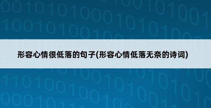 形容心情很低落的句子(形容心情低落无奈的诗词) 