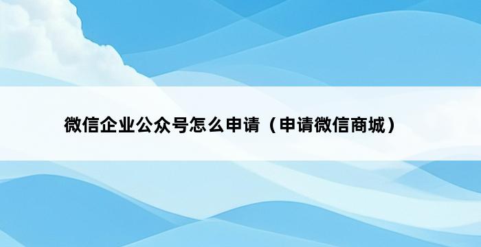 微信企业公众号怎么申请（申请微信商城） 