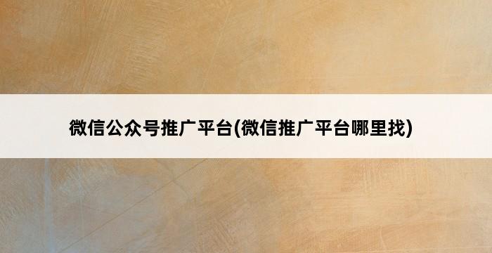 微信公众号推广平台(微信推广平台哪里找) 