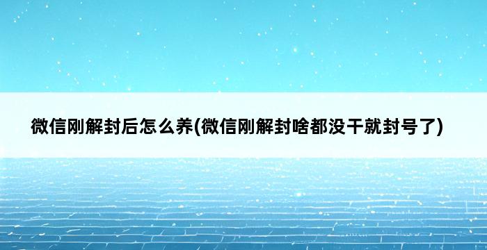 微信刚解封后怎么养(微信刚解封啥都没干就封号了) 