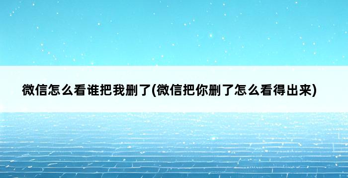 微信怎么看谁把我删了(微信把你删了怎么看得出来) 