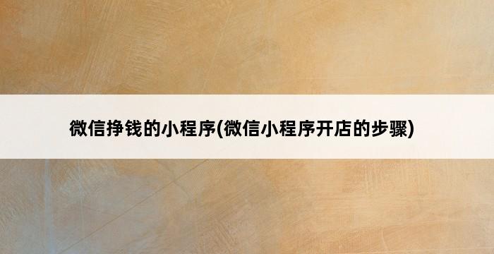 微信挣钱的小程序(微信小程序开店的步骤) 