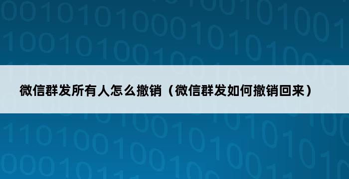 微信群发所有人怎么撤销（微信群发如何撤销回来） 