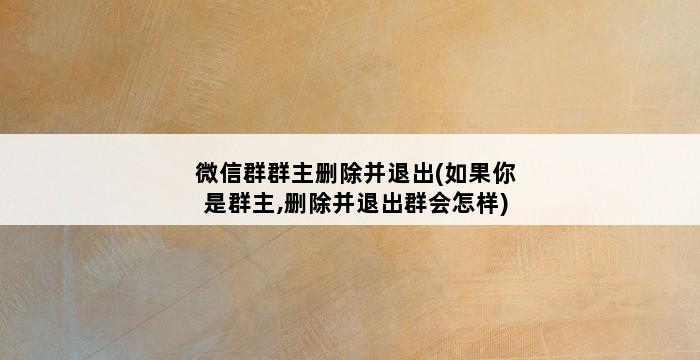 微信群群主删除并退出(如果你是群主,删除并退出群会怎样) 