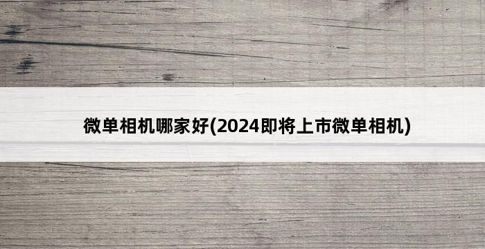 微单相机哪家好(2024即将上市微单相机) 