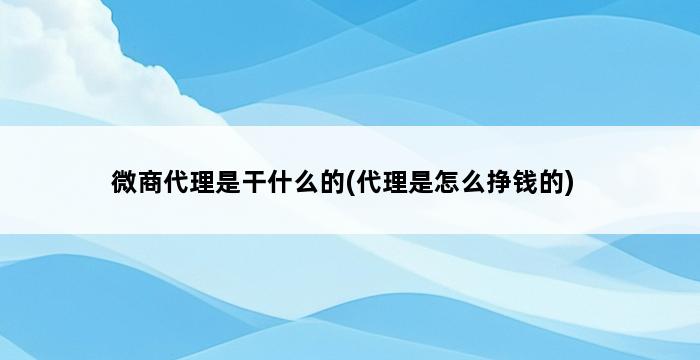 微商代理是干什么的(代理是怎么挣钱的) 