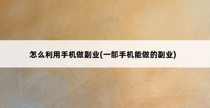 怎么利用手机做副业(一部手机能做的副业) 