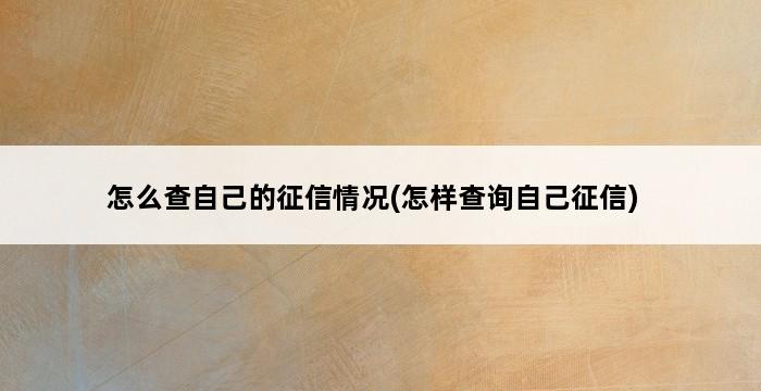 怎么查自己的征信情况(怎样查询自己征信) 