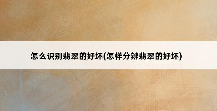 怎么识别翡翠的好坏(怎样分辨翡翠的好坏) 