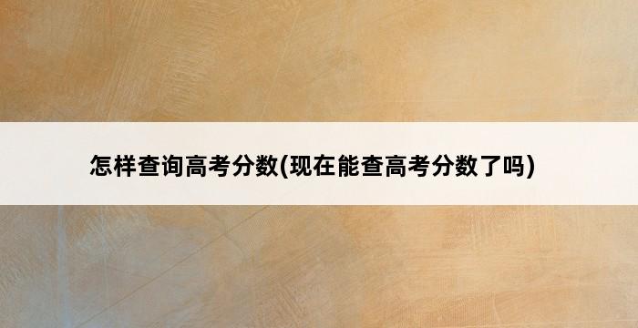 怎样查询高考分数(现在能查高考分数了吗) 