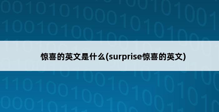 惊喜的英文是什么(surprise惊喜的英文) 