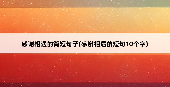 感谢相遇的简短句子(感谢相遇的短句10个字) 