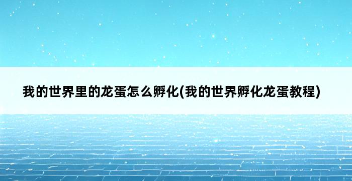 我的世界里的龙蛋怎么孵化(我的世界孵化龙蛋教程) 