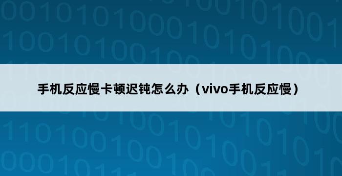 手机反应慢卡顿迟钝怎么办（vivo手机反应慢） 