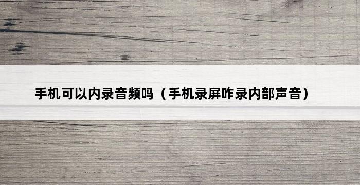 手机可以内录音频吗（手机录屏咋录内部声音） 