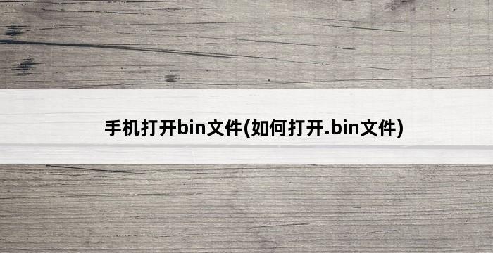 手机打开bin文件(如何打开.bin文件) 