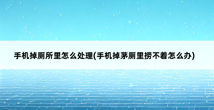 手机掉厕所里怎么处理(手机掉茅厕里捞不着怎么办) 