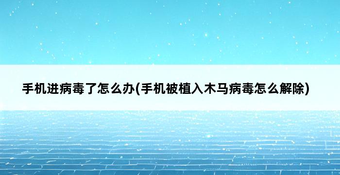 手机进病毒了怎么办(手机被植入木马病毒怎么解除) 