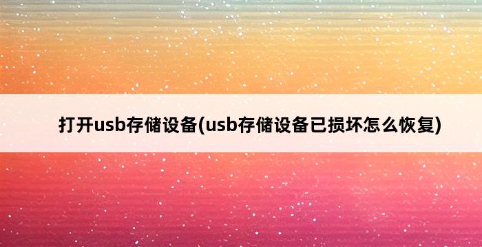 打开usb存储设备(usb存储设备已损坏怎么恢复) 